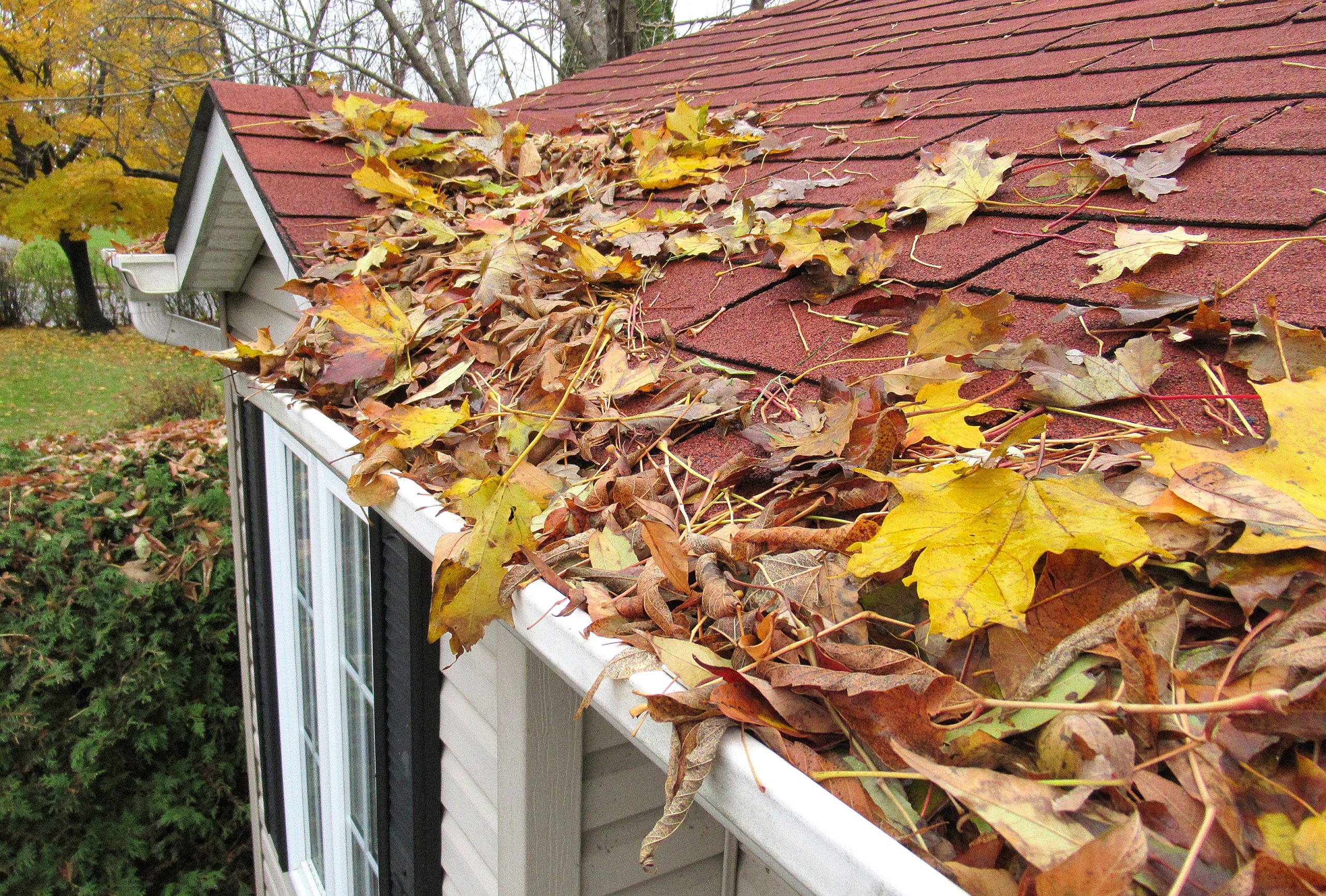 Gutter Cleaning: Making a House Sparkle!